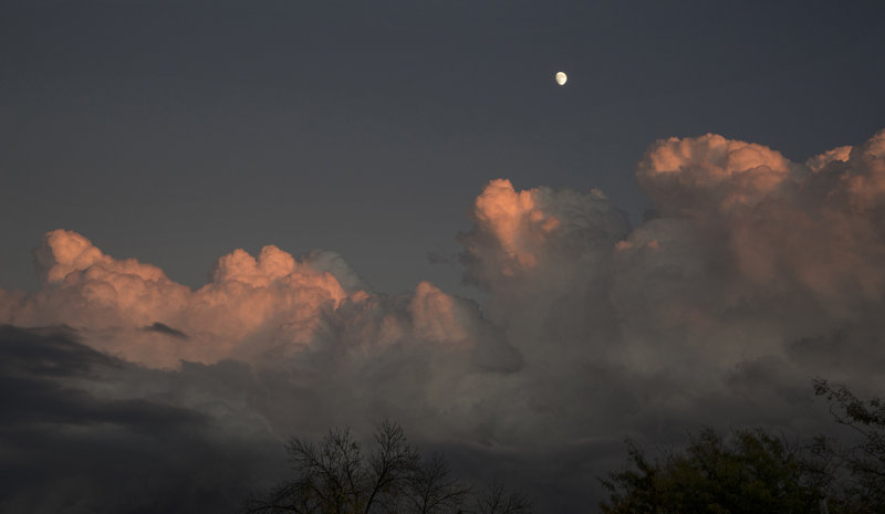 Evening Splendor