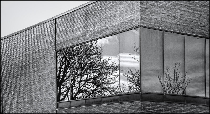 Winter Reflected
