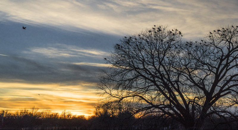 Sunset From Riverbank