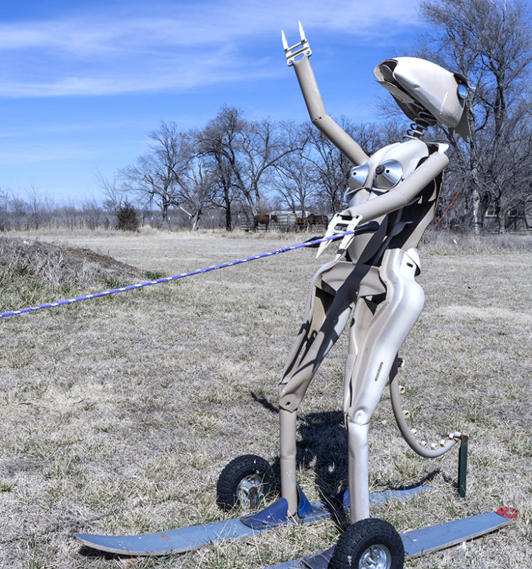 Pasture Skiing