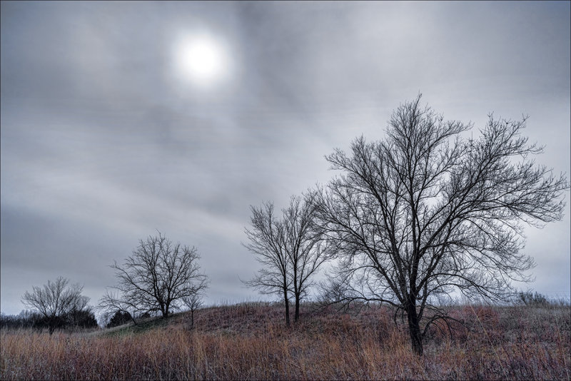 Overcast Morning