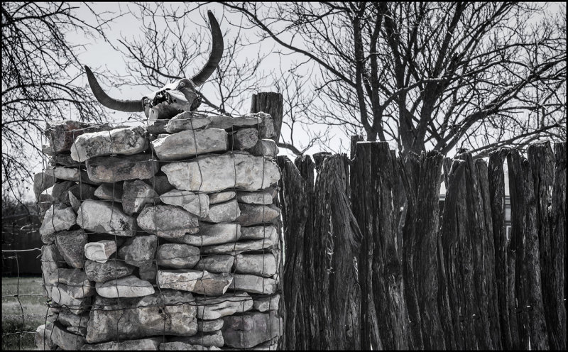 Fence Reinforcement and Skull