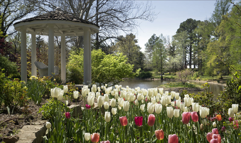 An Arboretum View