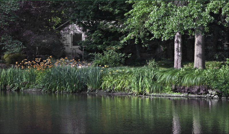 Late afternoon,  Bartlett Arboretum