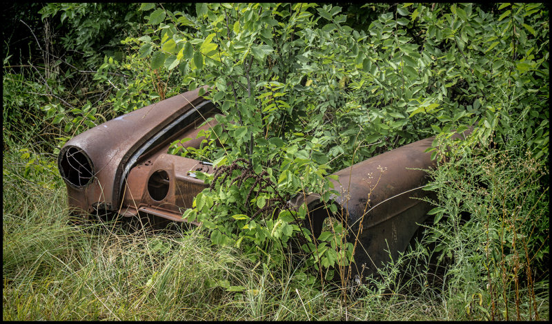 Put Out to Pasture