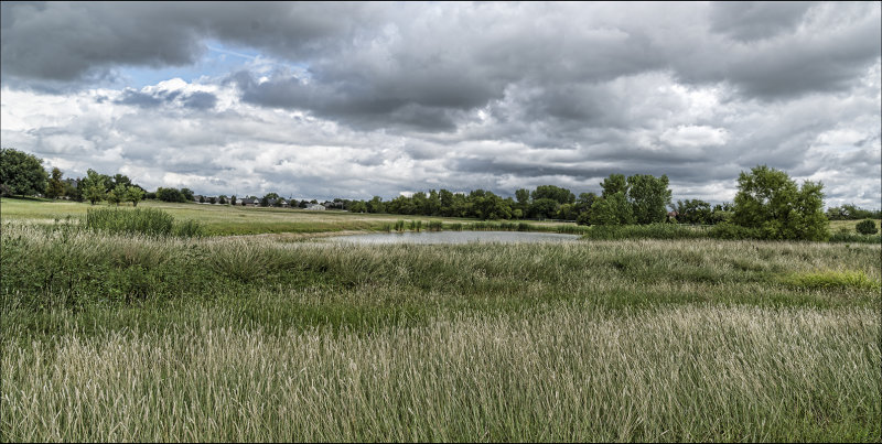 Approaching Rain Storm