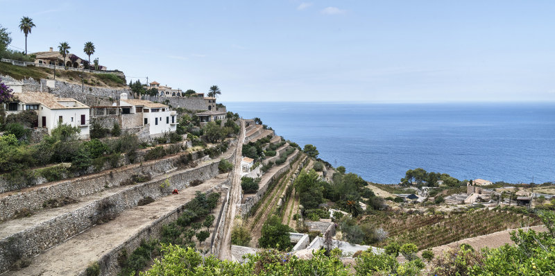 Terraced Banyalbufar
