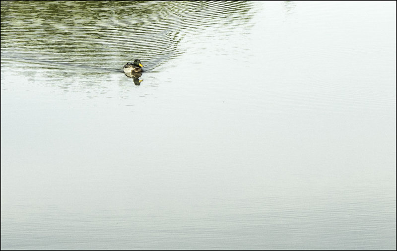 Early Morning Calm