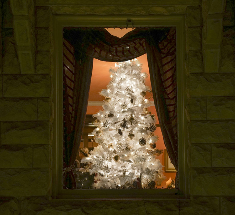 Tree in Window