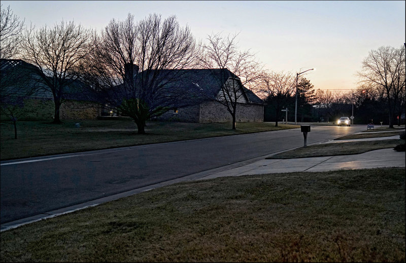 A Visitor at Dusk