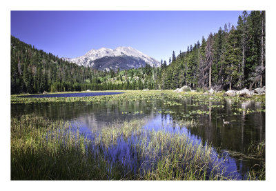 Cub Lake , Estes Park