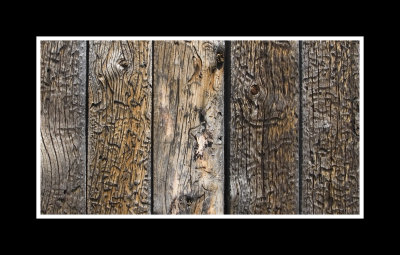 Worm eaten siding