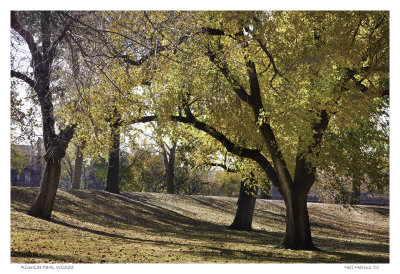 Late fall,  Riverside Park