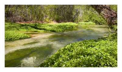 A deceptive stream
