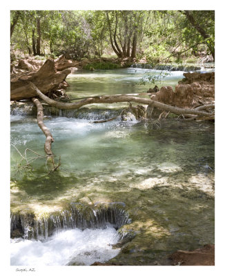 Campground creek