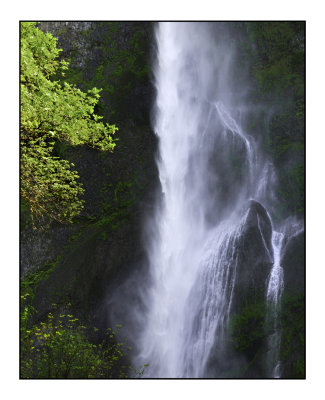 Multnomah Falls,  OR 