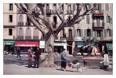 Avenue,  Cannes,   French Riviera 