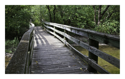 Foot bridge  over Chisholm Creek
