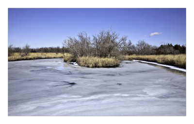 Frozen pond  02-14-14