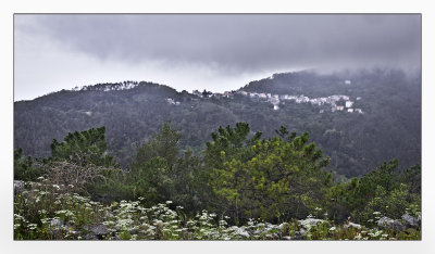 Dreary Weather