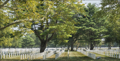 Military Personnel  and Family Graves