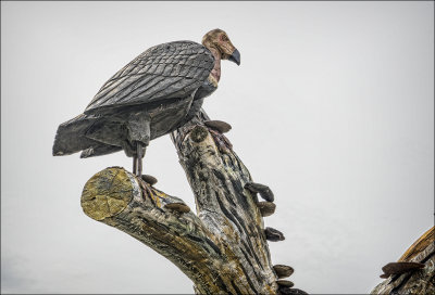 Vulture Sculpture