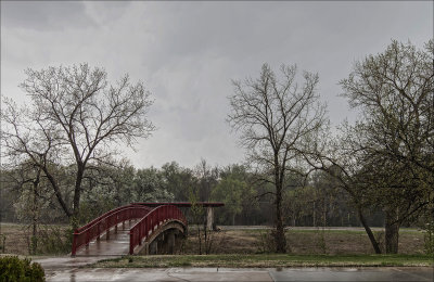 A Dreary Day