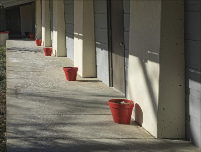 The Red Guard