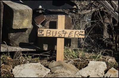 Buster's Memorial
