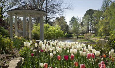 An Arboretum View