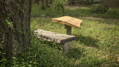 Bench and Table