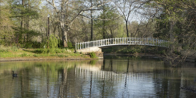 The Bridge at the Arb
