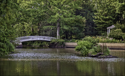 Evening,  Bartlett Arboretum