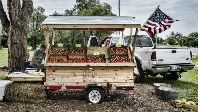 Roadside Stand