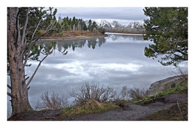 Oxbow Bend  at dawn