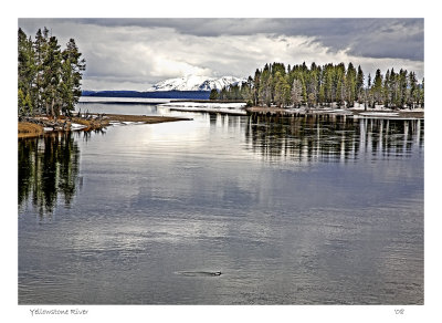 Yellowstone River