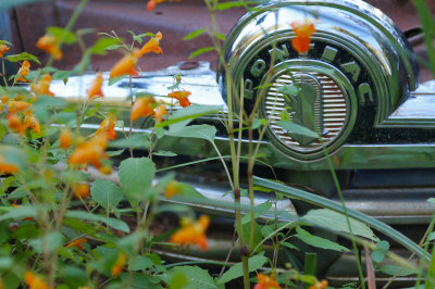the old pontiac.jpg