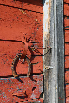 The luck of the barn door.jpg
