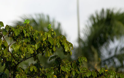 g9/11/782811/3/156430867.aZC0YATQ.jpg