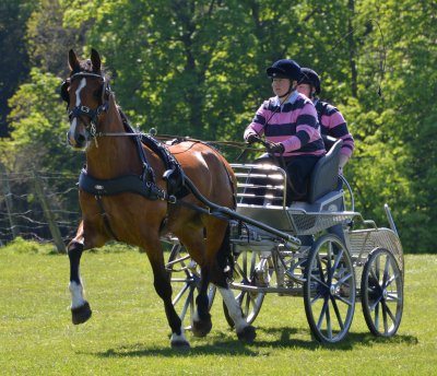 Hopetoun Horse Driving Trials 25th May 2013