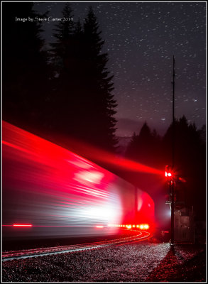 Tracks In The Snow 2014