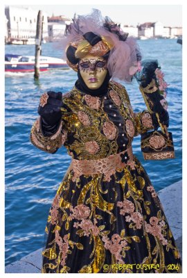 Carnaval de Venise 2016  -  31