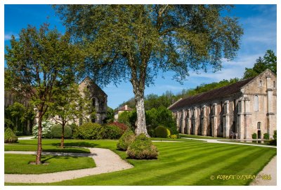  L'Abbaye de Fontenay