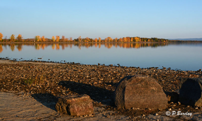 Fall morning