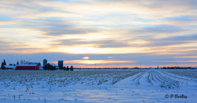 Farm fields