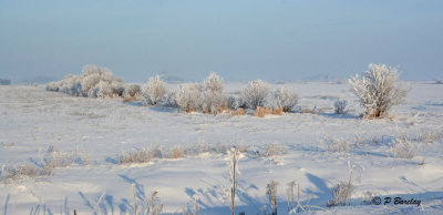 Frosty farm fields