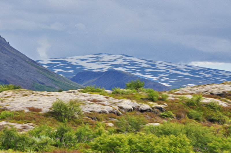 Skjaldbreiur mountain