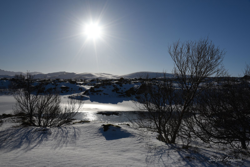Winterland II