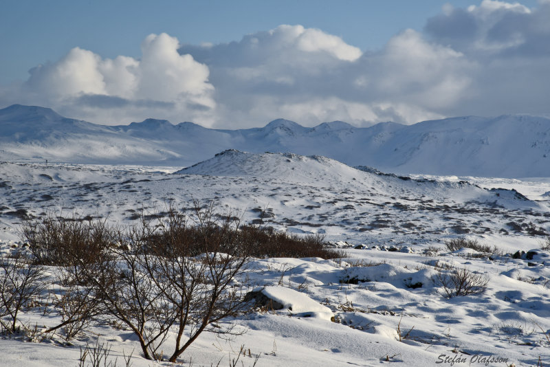 Winterland V