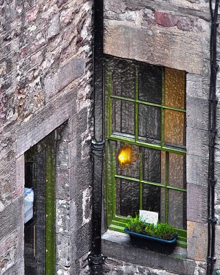 Window
